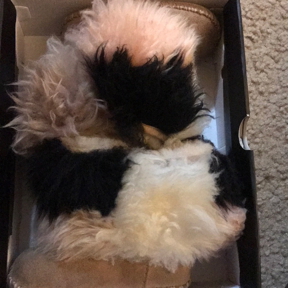 Baby ugg boots